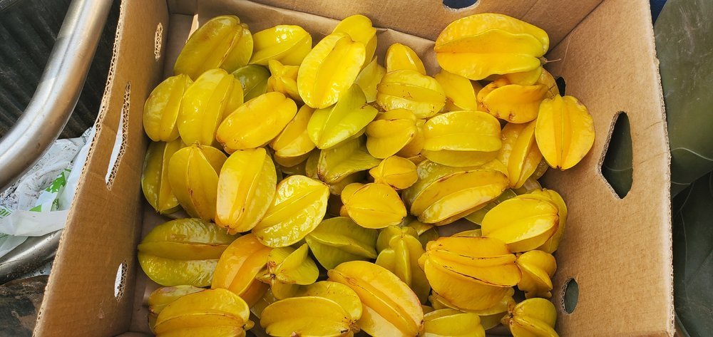 Star-Fruit-Boxs.jpg