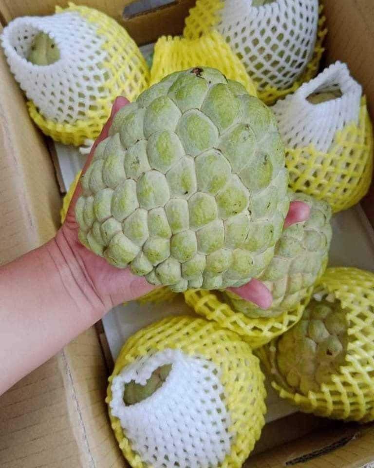 Sugar-Apple-Fruit-Box-.jpeg