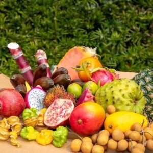 Buy Tropical Hell Fruit Feast Box USA | Tropical Fruits Delivery