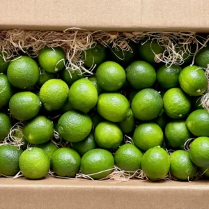Buy Tropical Lime Fruit Box USA | Tropical Fruits Delivery