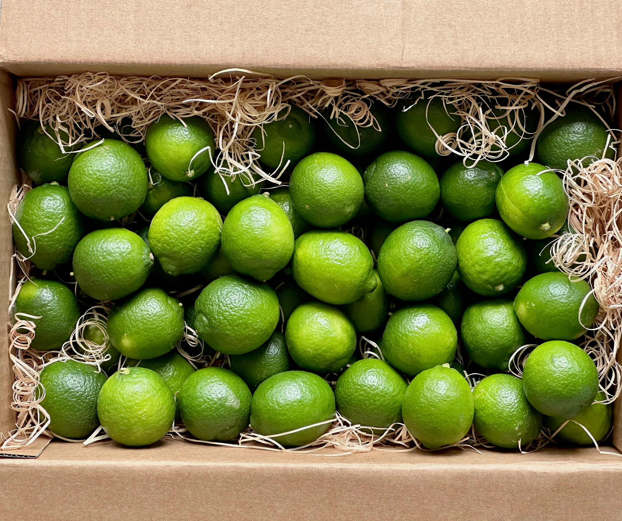 Tropical-Lime-Fruit-Box.webp