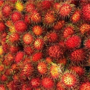 Buy Tropical Rambutan Fruit Box USA | Tropical Fruits Delivery