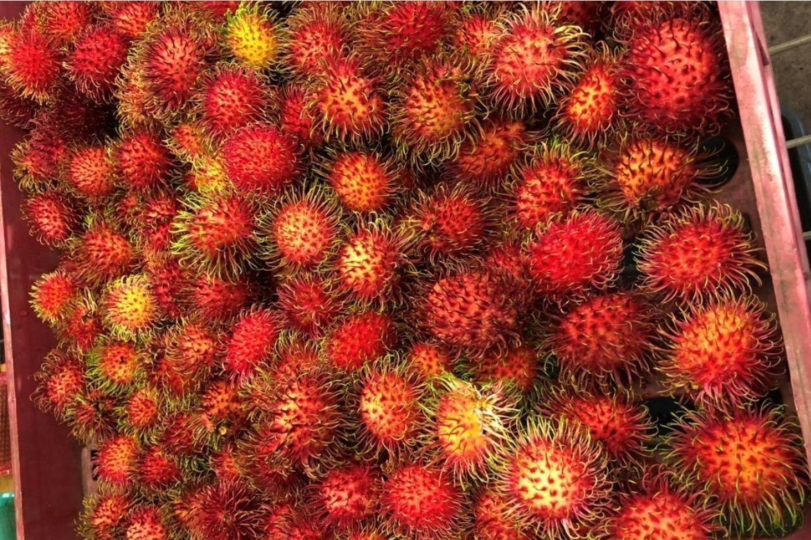 Tropical-Rambutan-Fruit-BoxS.jpg