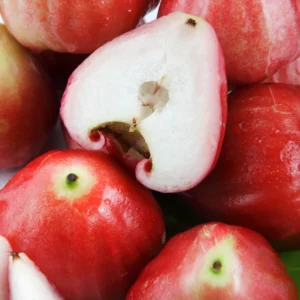 Buy Wax Jambu Fruit Box USA | Tropical Fruits Delivery