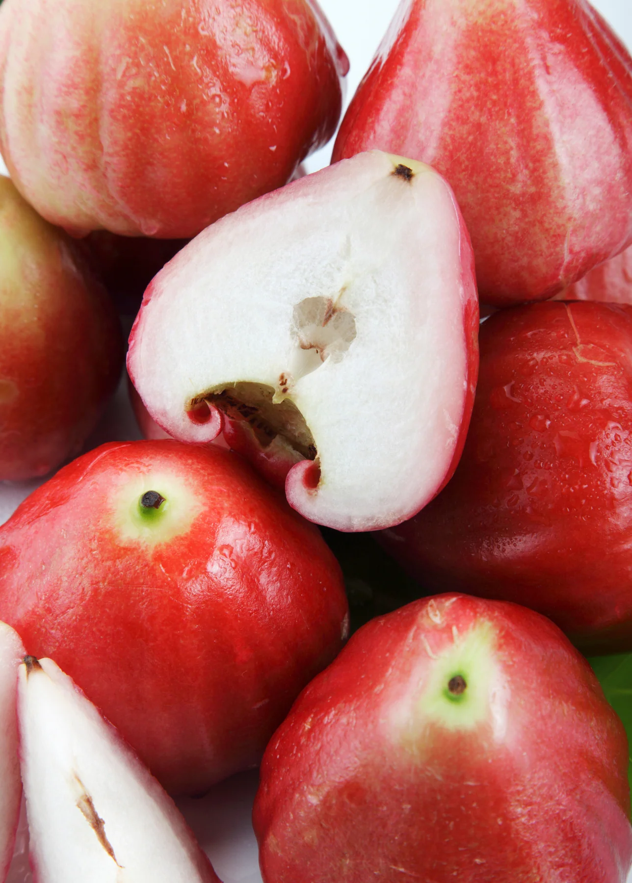 Wax-Jambu-Fruit-Boxes.webp