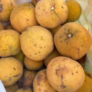 Buy Santol Fruit Box USA | Cotton Fruit | Tropical Fruits Delivery