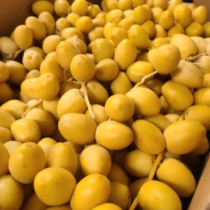 Buy Yellow Barhi Dates Fruit Box USA | Tropical Fruits Delivery