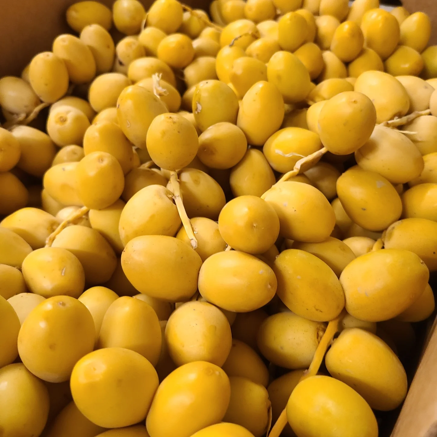 Yellow-Barhi-Dates-Fruit-Box.webp