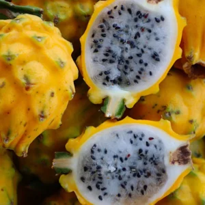 Buy Yellow Dragon Fruit Box USA | Tropical Fruits Delivery