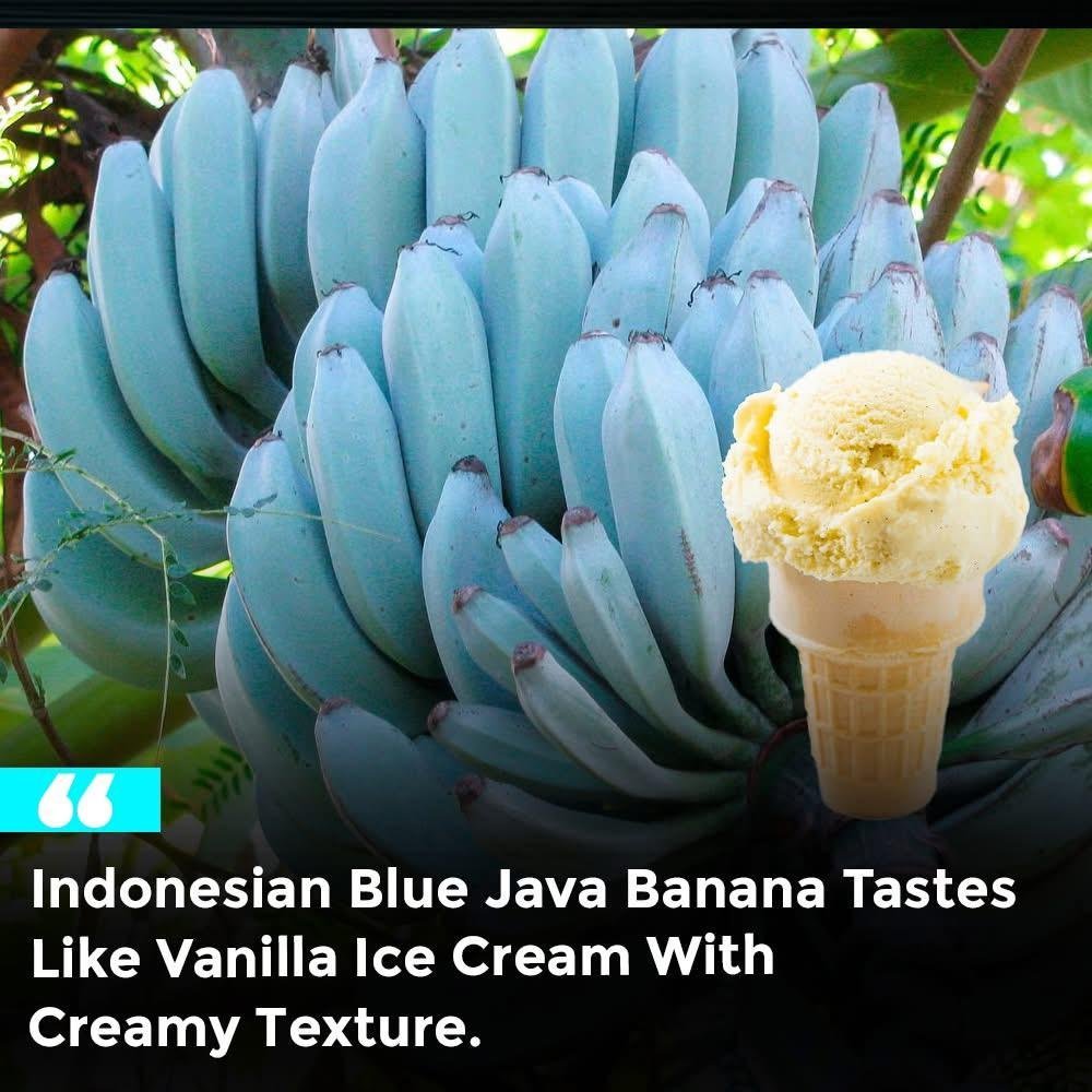 d200f994-f6ed-47a1-b3a9-fb807d7caab3.jpeg